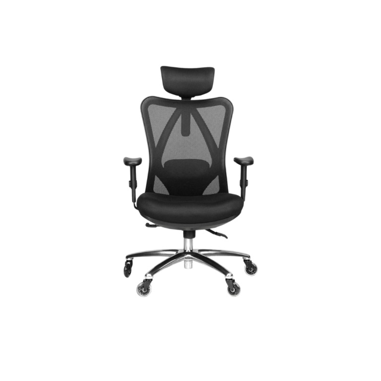 Duramont Ergonomic Office Chair Review